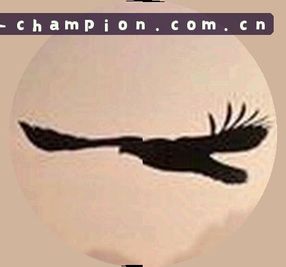 黄丽